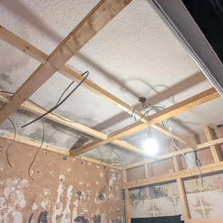 Ceiling & Walls