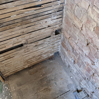 Glass Shower Cubicle