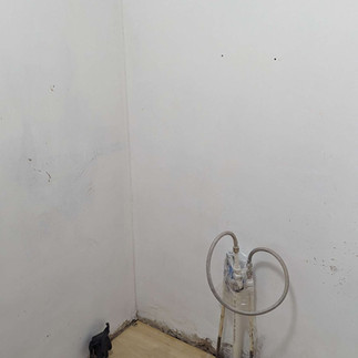 En-Suite Shower
